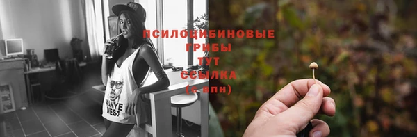 ешки Белоозёрский