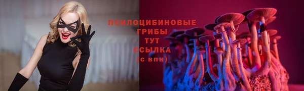ешки Белоозёрский